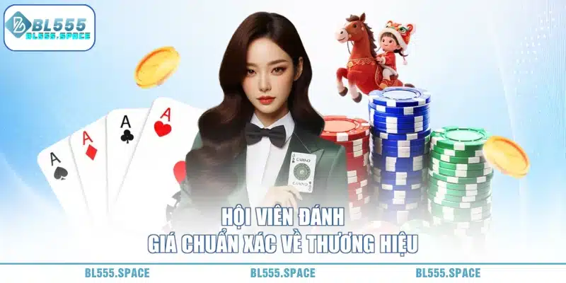 Đánh Giá BL555 360 Độ - Góc Nhìn Đa Chiều 3 thương hiệu bl555 được cộng đồng đánh giá cao